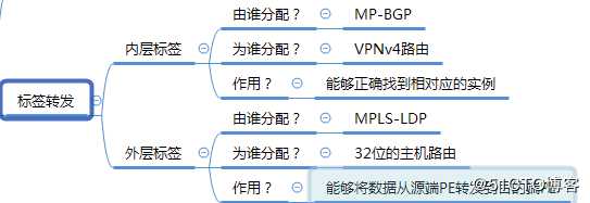 MPLS-V PN(多协议标签虚拟专用网络)