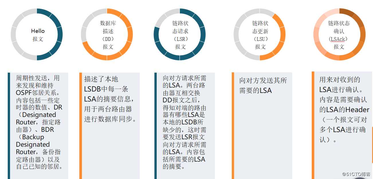 路由高级：动态：ospf