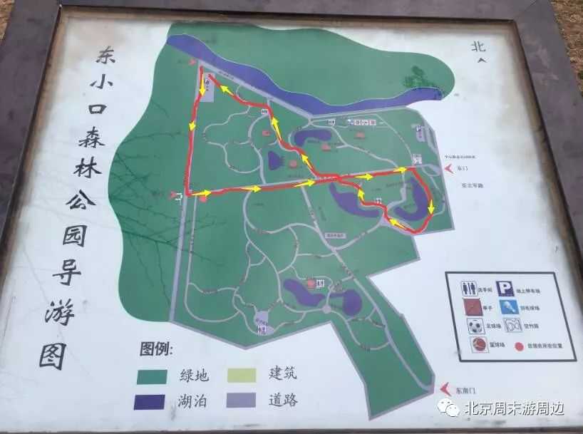 北京周末游周边 东小口森林公园