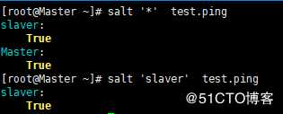 Saltstack 安装部署和模块使用