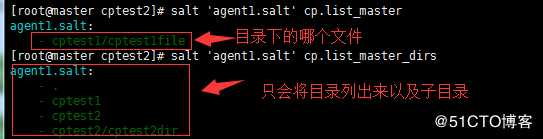Saltstack 安装部署和模块使用