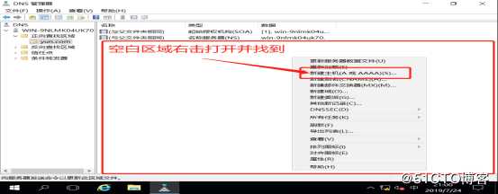 DNS+Web+DHCP服务架构（新手参考）