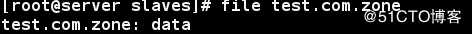 linux的DNS之主从同步配置