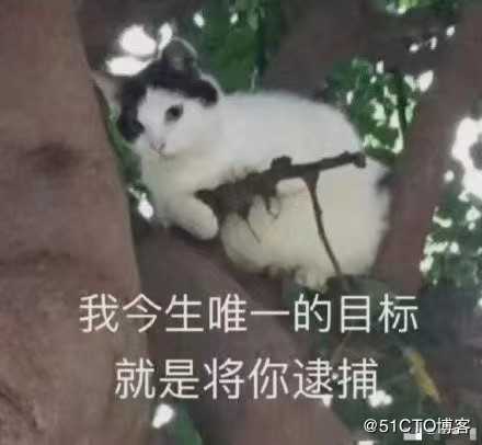 GNS3环境部署超详细教学