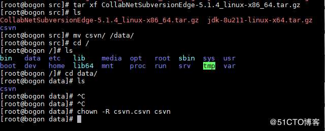 linux源码安装CSVN