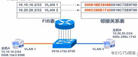 VLAN、Trunk、三层交换机（划重点，要考）