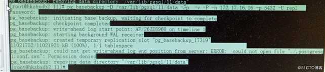 Postgres 11.4 pg_basebackup  Permission denied