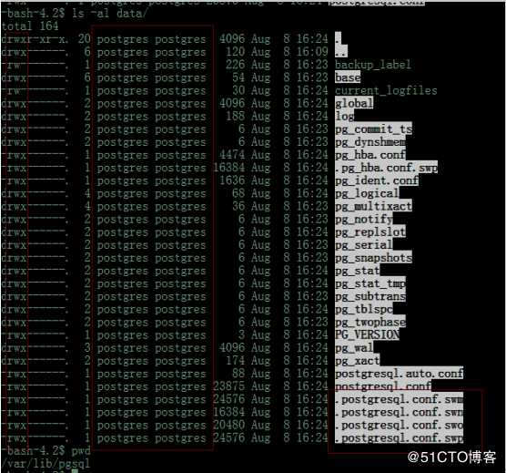 Postgres 11.4 pg_basebackup  Permission denied
