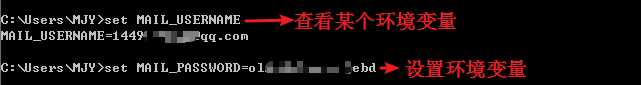 '设置查看某个环境变量'