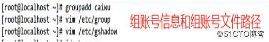 账号与文件权限的管理（实操出真知）