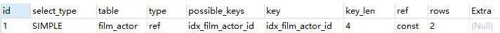possible_keys列