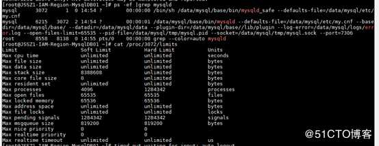 Mysql 连接数与配置文件不一致问题