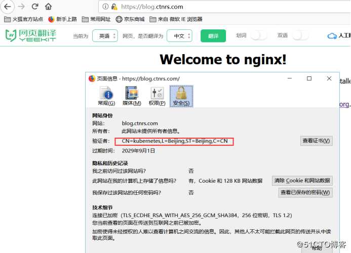 Kubernetes进阶之ingress-nginx