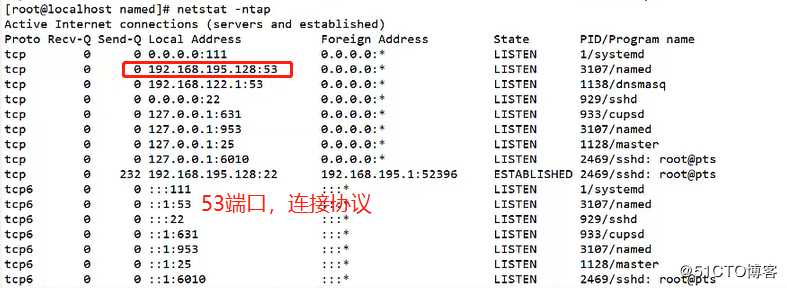 DNS服务正向、反向解析以及主从同步实操（有图有字，易做易懂）