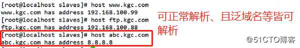 DNS服务正向、反向解析以及主从同步实操（有图有字，易做易懂）
