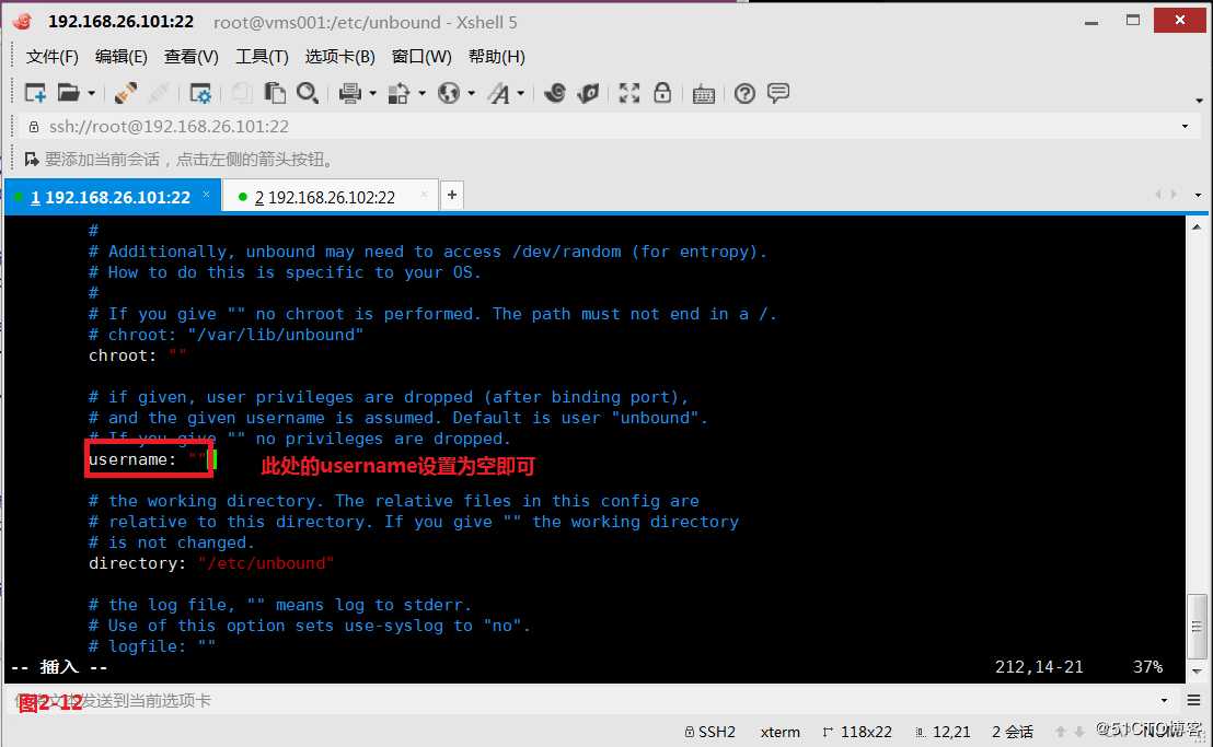【讲清楚，说明白！】DNS域名解析服务实现原理
