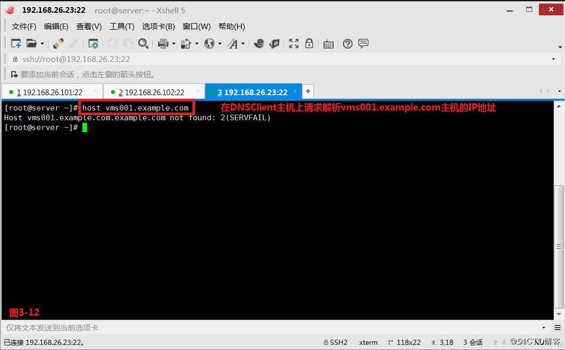 【讲清楚，说明白！】DNS域名解析服务实现原理