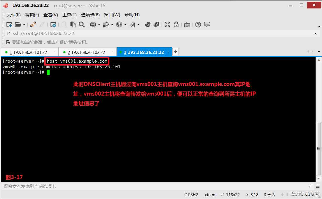 【讲清楚，说明白！】DNS域名解析服务实现原理