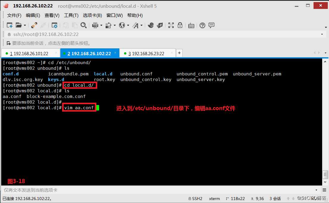 【讲清楚，说明白！】DNS域名解析服务实现原理