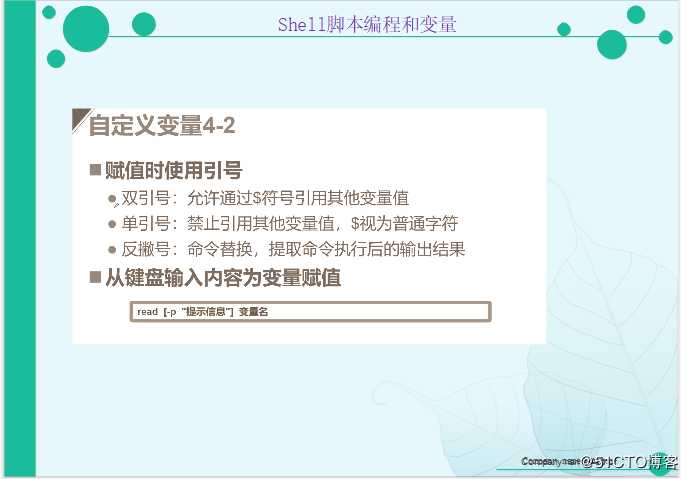 Shell 脚本之编程和变量（外加实战项目）