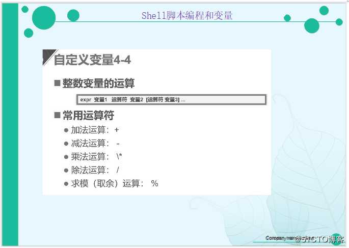 Shell 脚本之编程和变量（外加实战项目）