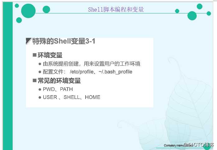 Shell 脚本之编程和变量（外加实战项目）