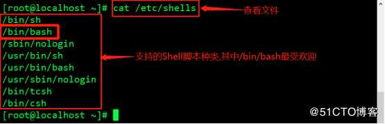 Shell编程规范与变量
