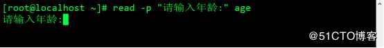 Shell编程规范与变量