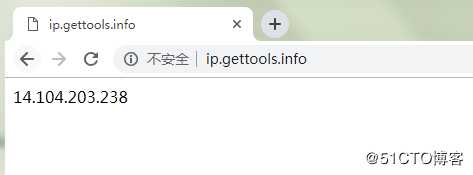 查看本地出口IP