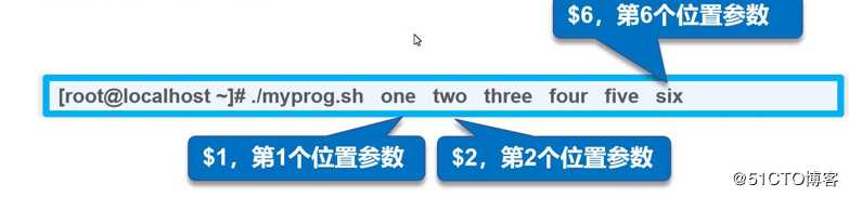 Shell脚本编程规范与变量