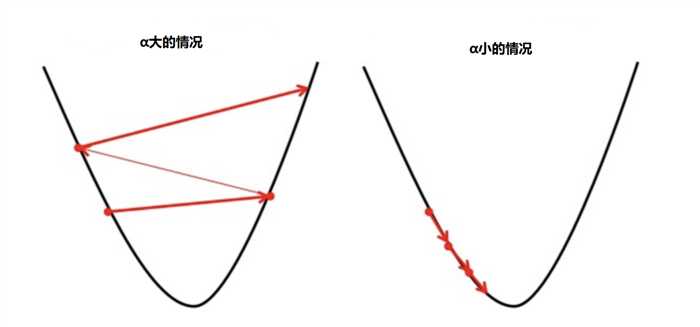 速率α的作用