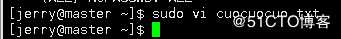 当sudo用户偶遇上VI/VIM发生了什么?(sudo+vi/vim=root)