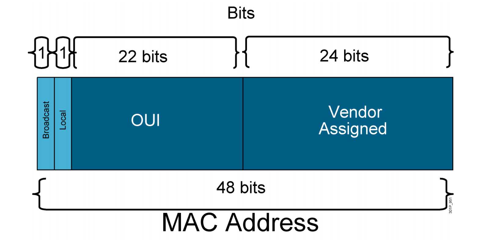 MACADDR