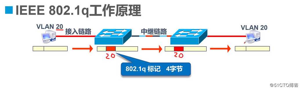Trunk原理介绍和实验操作（较详细）