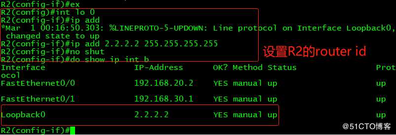 OSPF路由协议