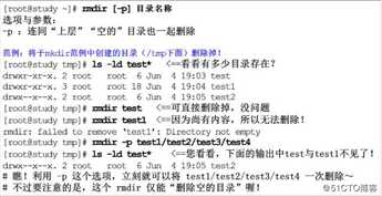 Linux基础命令