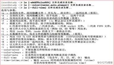 Linux基础命令