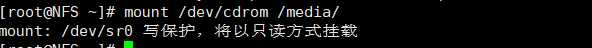 image-20191109145608075