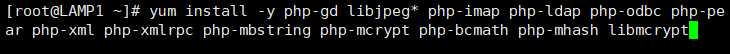 image-20191109154336360