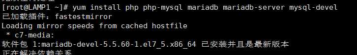 image-20191109155206887