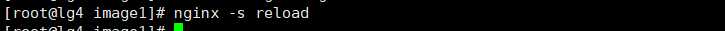 image-20191111194334043