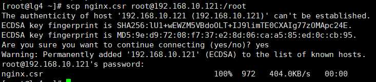 image-20191111202941817