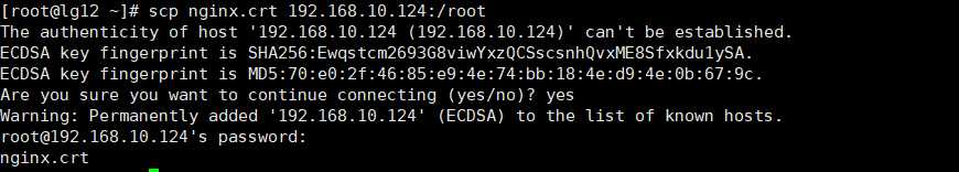 image-20191111210259683