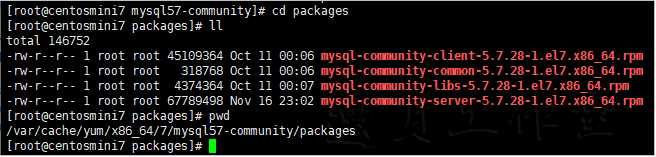 mysql_local