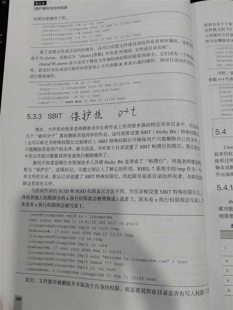 学习linux第八天