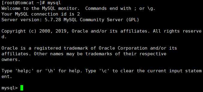 image-20191125161852934