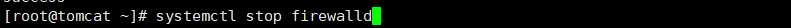 image-20191125205056802