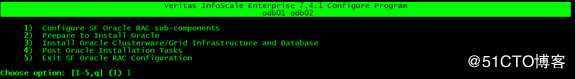 Configuring the SF 7.4.1 Oracle RAC cluster随笔