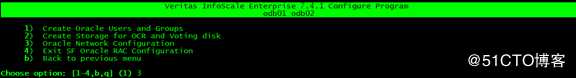 Configuring the SF 7.4.1 Oracle RAC cluster随笔