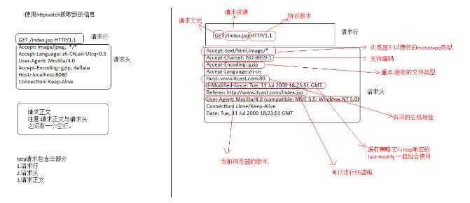 详细信息
